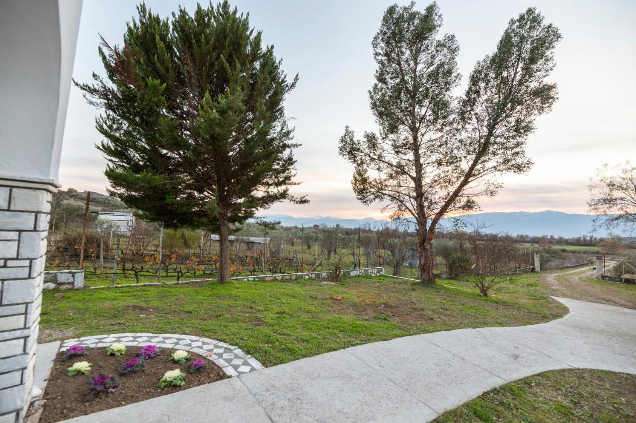 Τrικαλα - Μετεorα-Villa Toscana Trikala  Exterior foto
